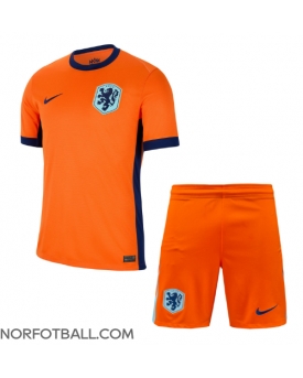 Billige Fotballdrakt Nederland Replika Hjemmedraktsett Barn EM 2024 Kortermet (med bukser)